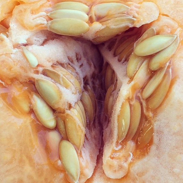 Eyal-Shani_Ron-Loker_1