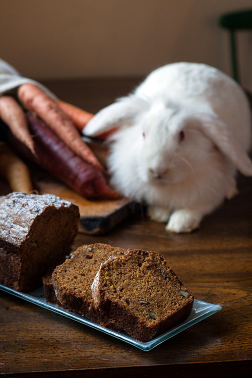 Phyllis-Glazer_500px