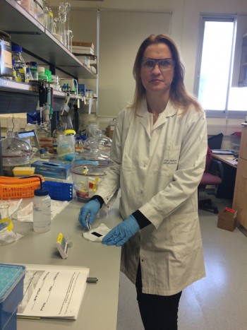 Professor Ester Segal in the lab. (Photo Credit: Technion’s Spokesperson’s Office.)