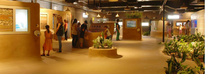 Hands-on activities at the Arava’s Vidor Center.