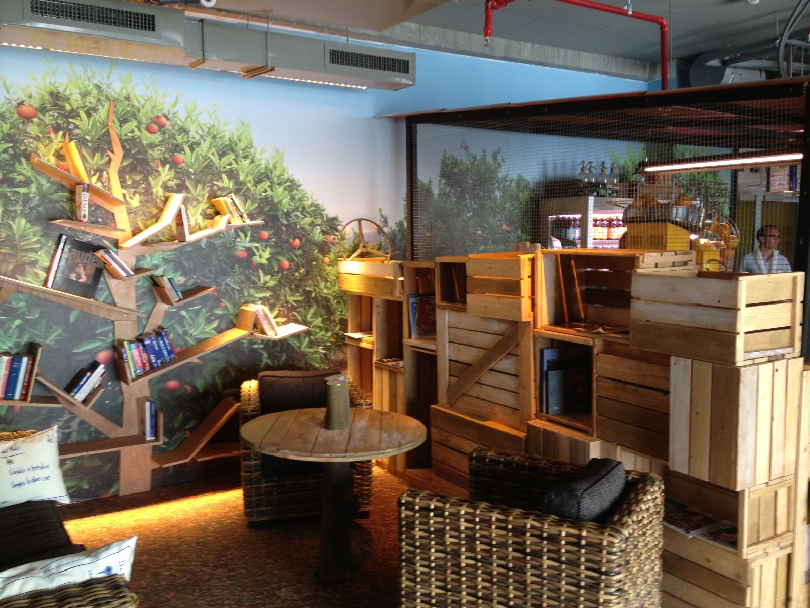 An "orange grove" in the midst of Google Tel Aviv. Photo by Itay Sikolsky