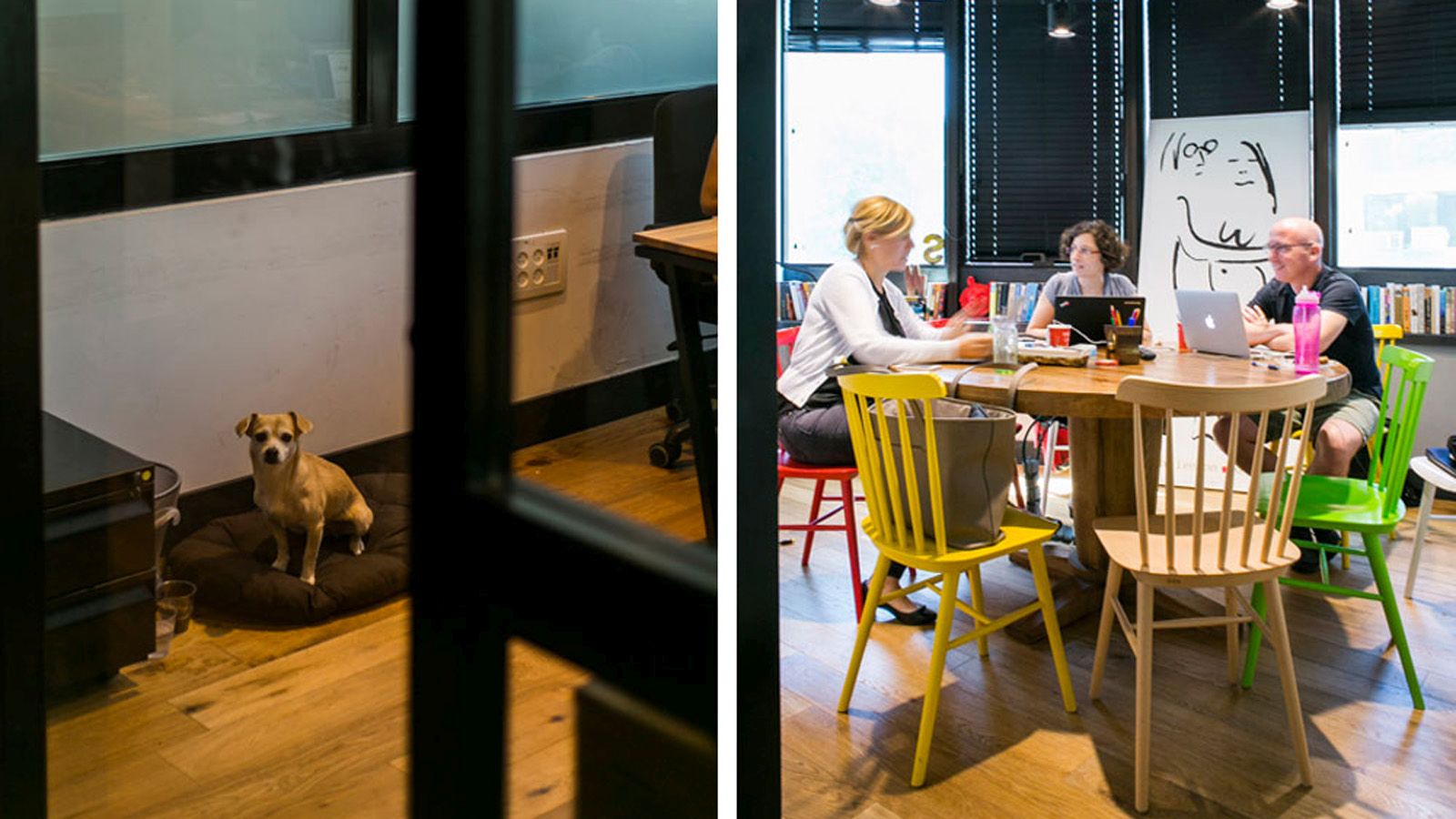 Dogs are welcome at Mindspace. Photo via Mindspace Tel Aviv Gallery