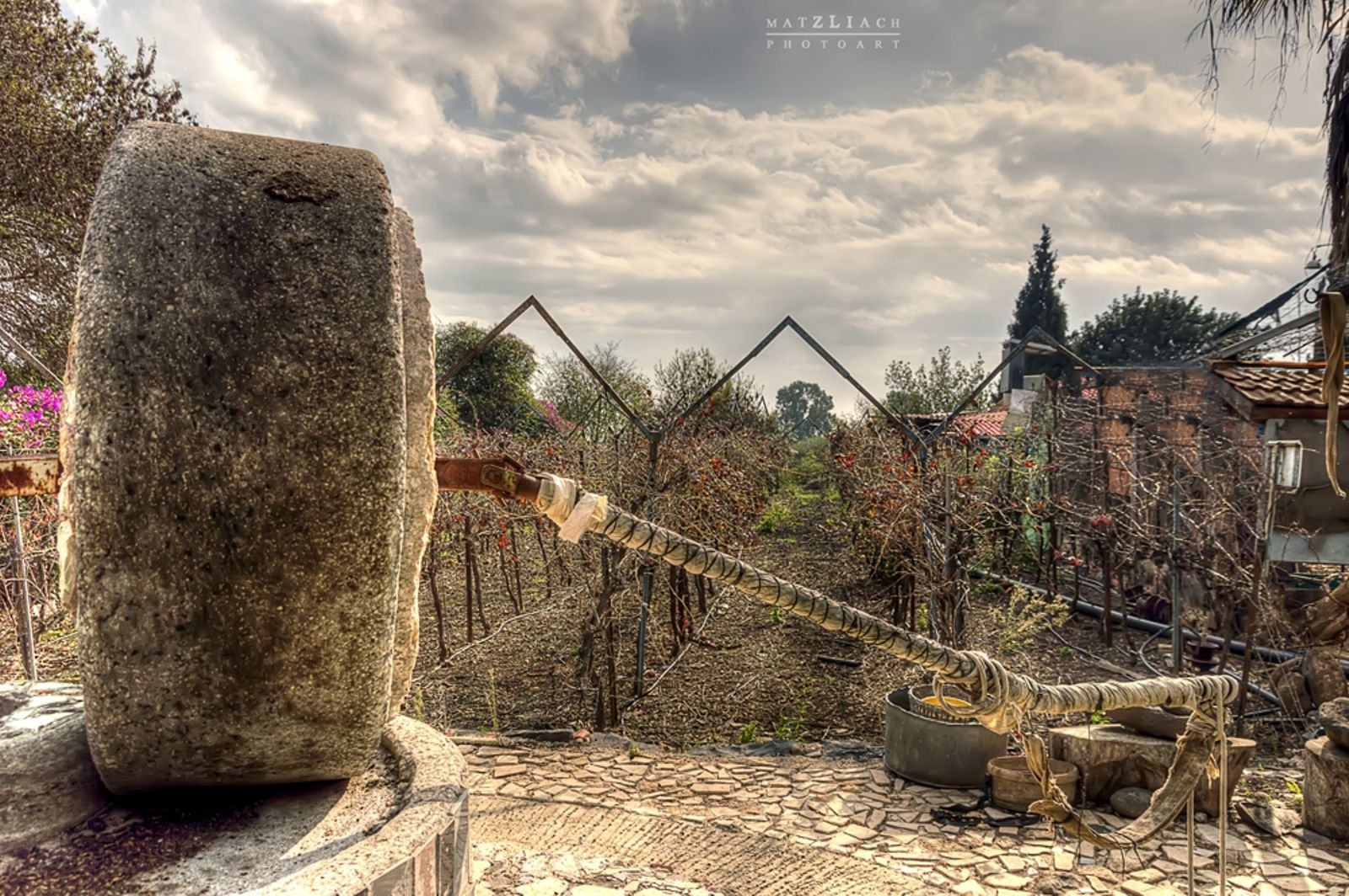 The olive press at Bel Ofri Farm. Image by Matzliach Photoart The olive press at Bel Ofri Farm. Image by Matzliach Photoart