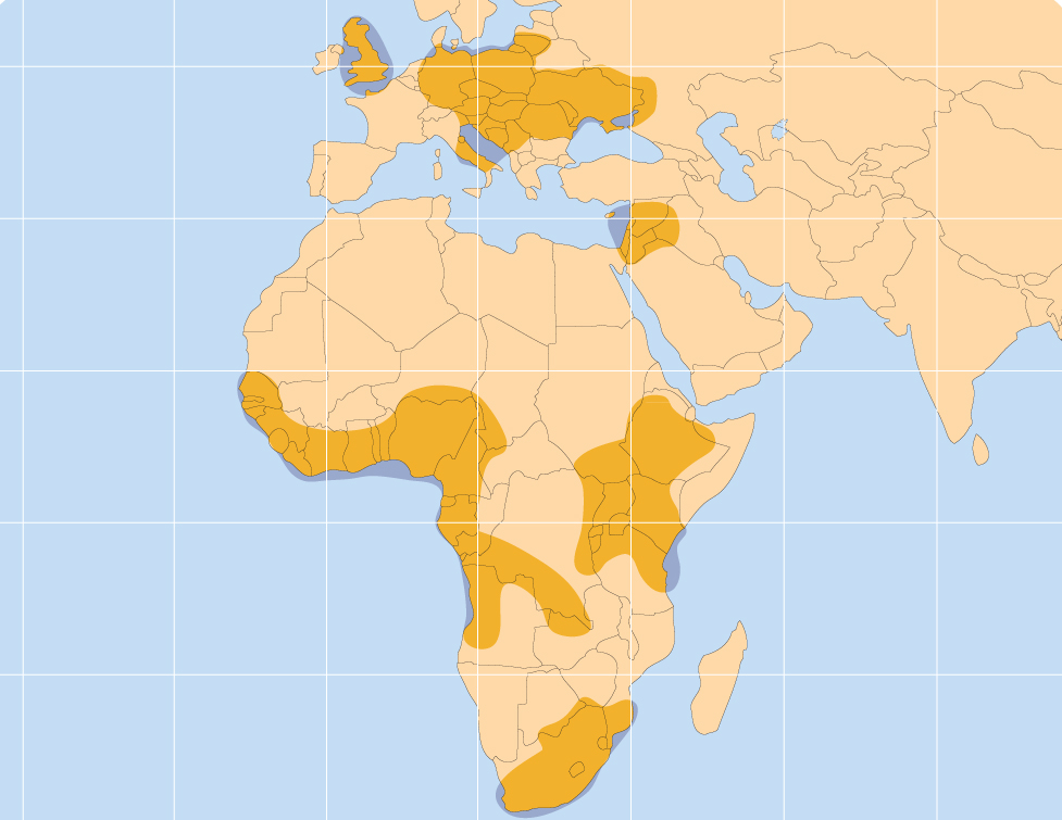 AMOS-6 Ka-spot beams. Photo courtesy AMOS-6 Ka-spot beams. Photo courtesy