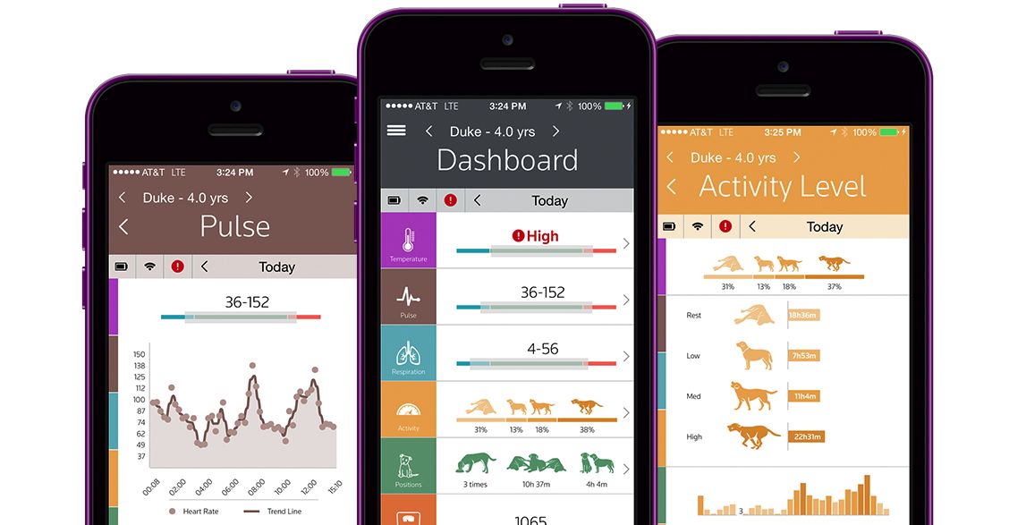 PetPace connects to the owner and vet’s smartphone and computer. Photo courtesy of PetPace PetPace connects to the owner and vet’s smartphone and computer. Photo courtesy of PetPace