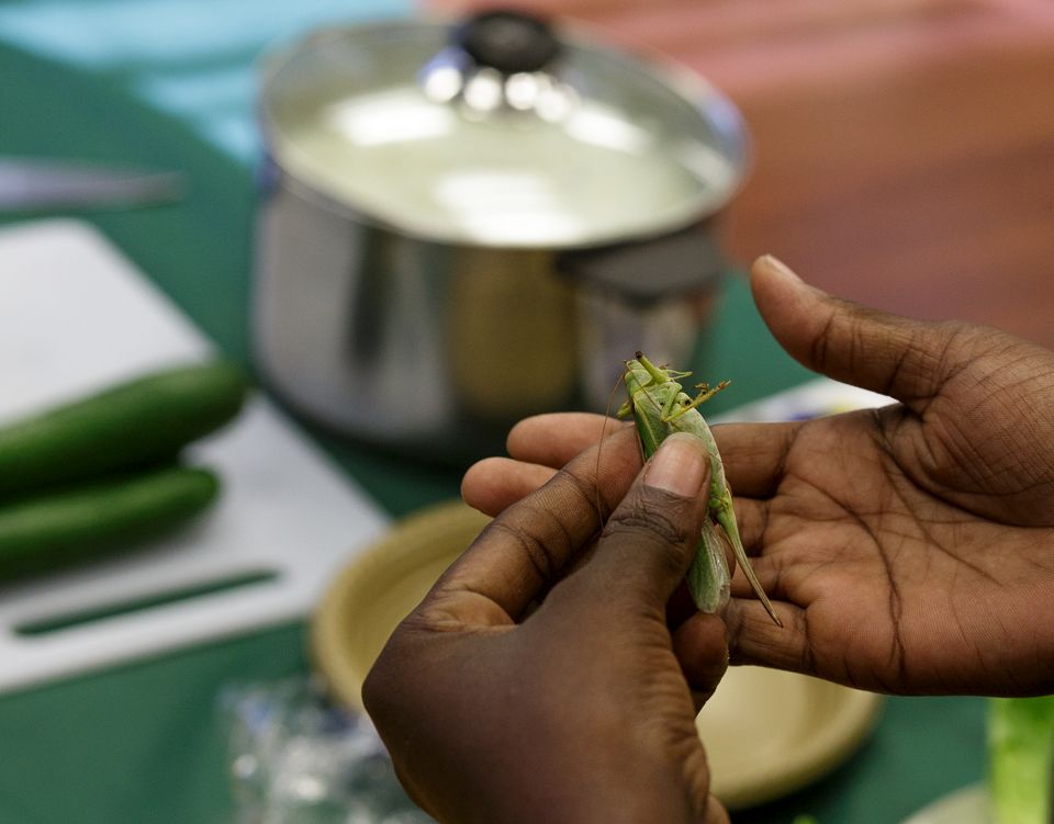 Among many Africans, grasshoppers are an accepted edible. Photo by Naor Friedman