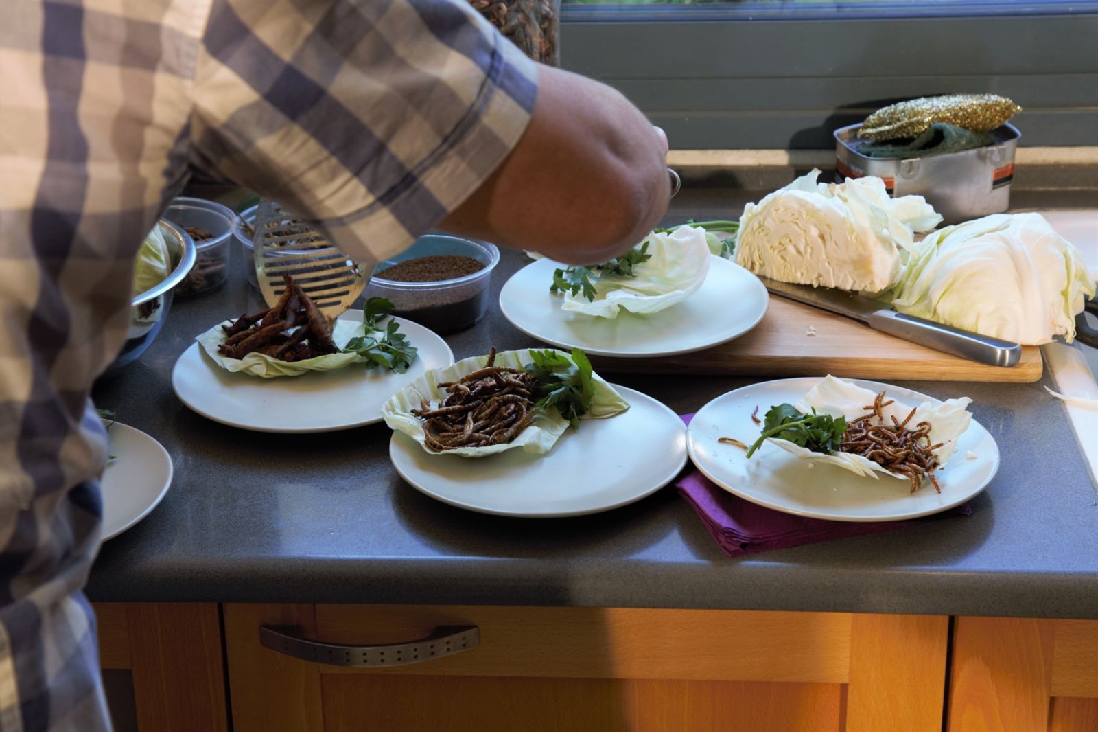 Sliced Steak TzarTzar grasshoppers could be added to salads. Photo by Naor Friedman
