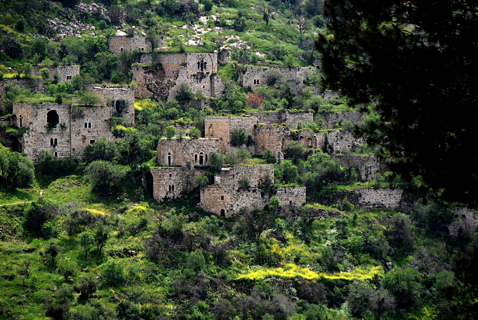 The old village of Lifta on the outskirts of Jerusalem. Photo by Yehudit Eliaf