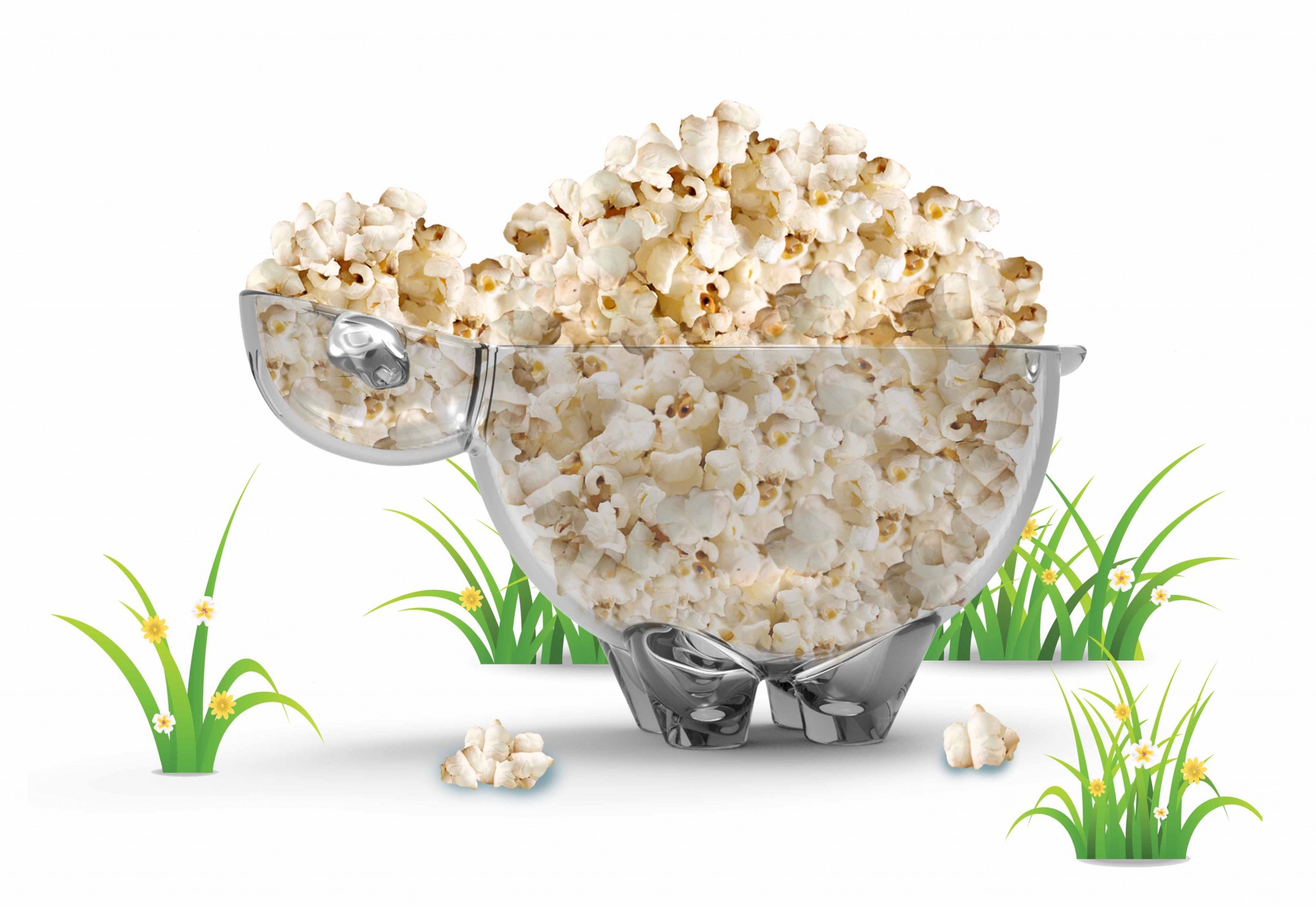 The cutest, tastiest sheep. Photo courtesy