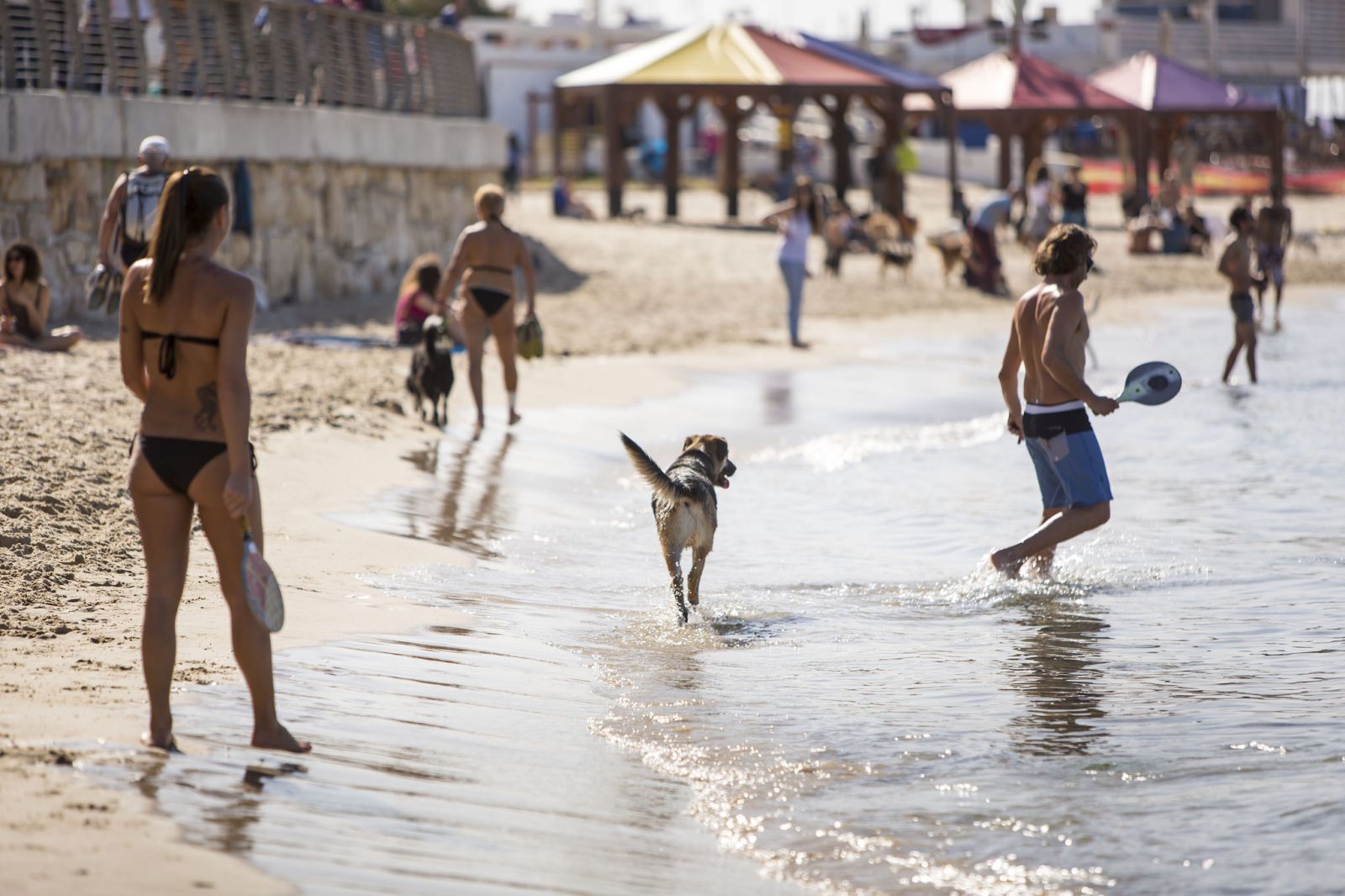 Photo of the Tel Aviv beachfront by Kfir Bolotin.