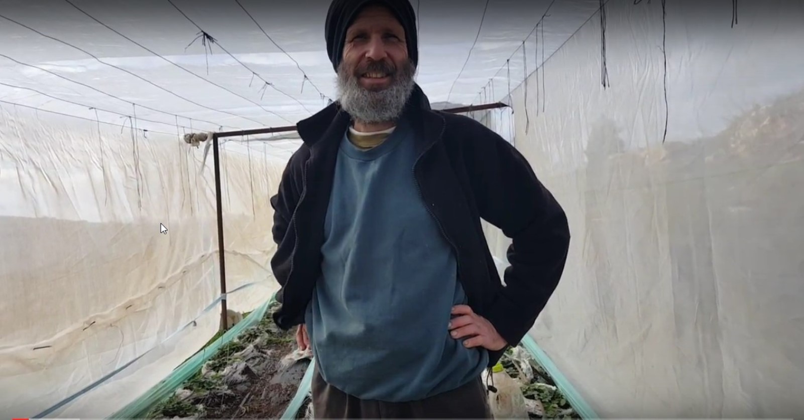 Alon Zimmerman fertilizes his strawberries with nitrogen-rich dung after the methane gas has been removed. Photo by Ari Pollack