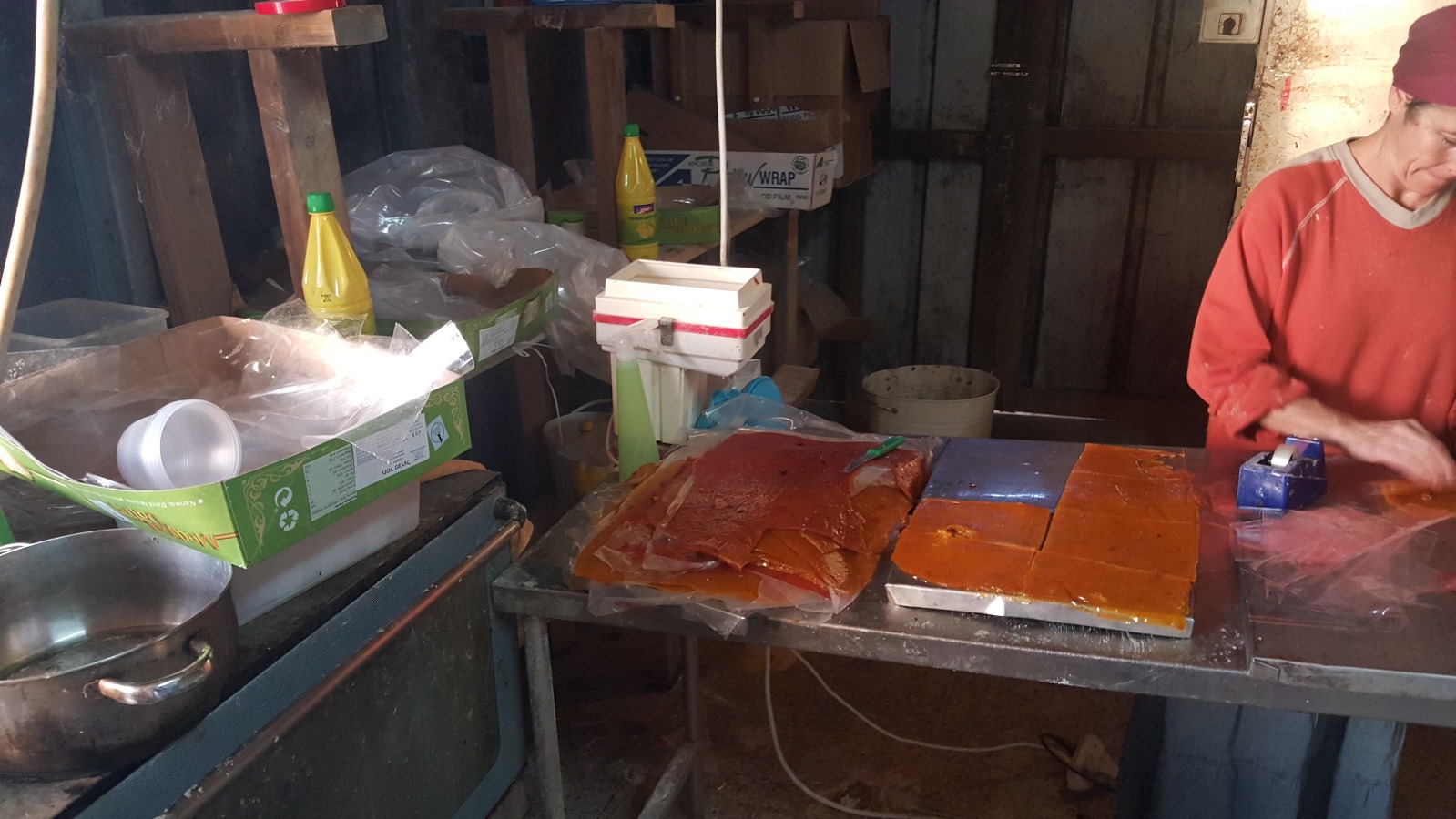Rachel Zimmerman making fruit leather on the farm. Photo by Ari Pollack