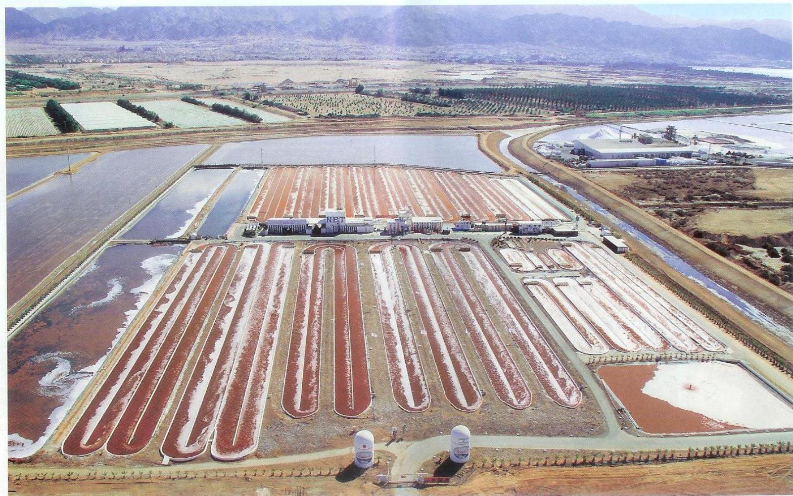 Photo courtesy of NBT.