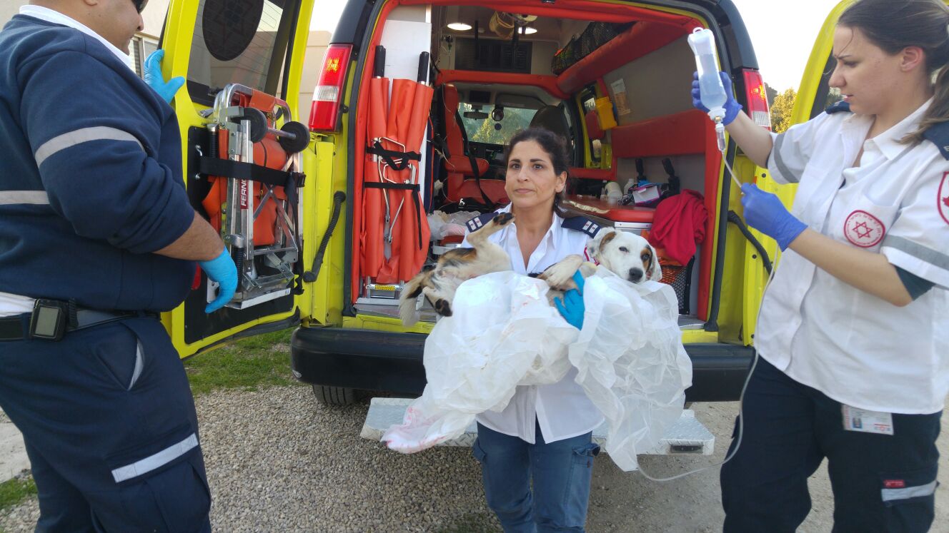 From left, EMT and driver Yasser Amash, Liat Mizrahi with Chupa, and Senior EMT Katy Shussman.Photo courtesy of MDA Spokesman’s Office
