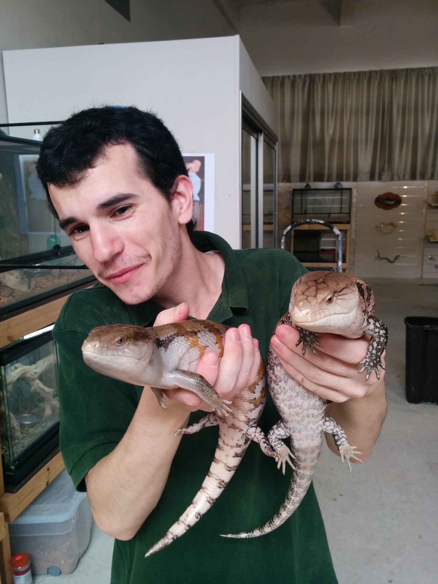 NoahWithSkinks2 NoahWithSkinks2