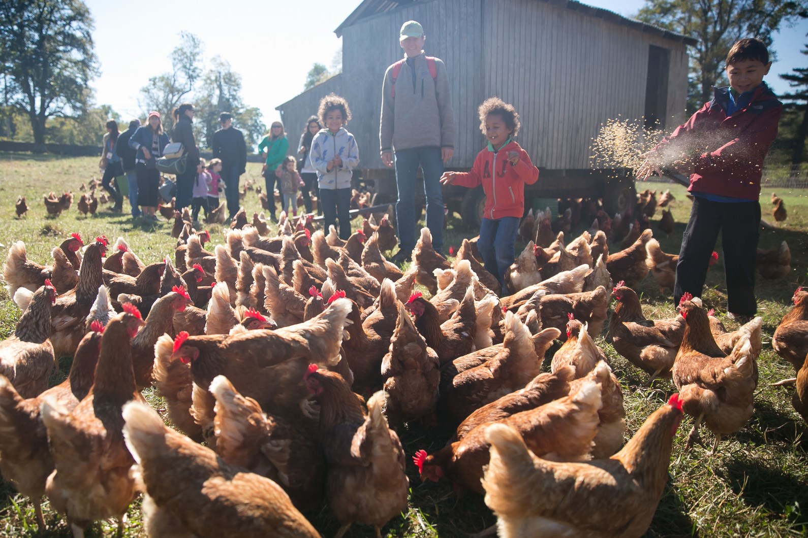 Visitors at Stone Barns Center for Food and Agriculture in New York, which uses tour proceeds to promote a sustainable food system. Photo courtesy of visit.org