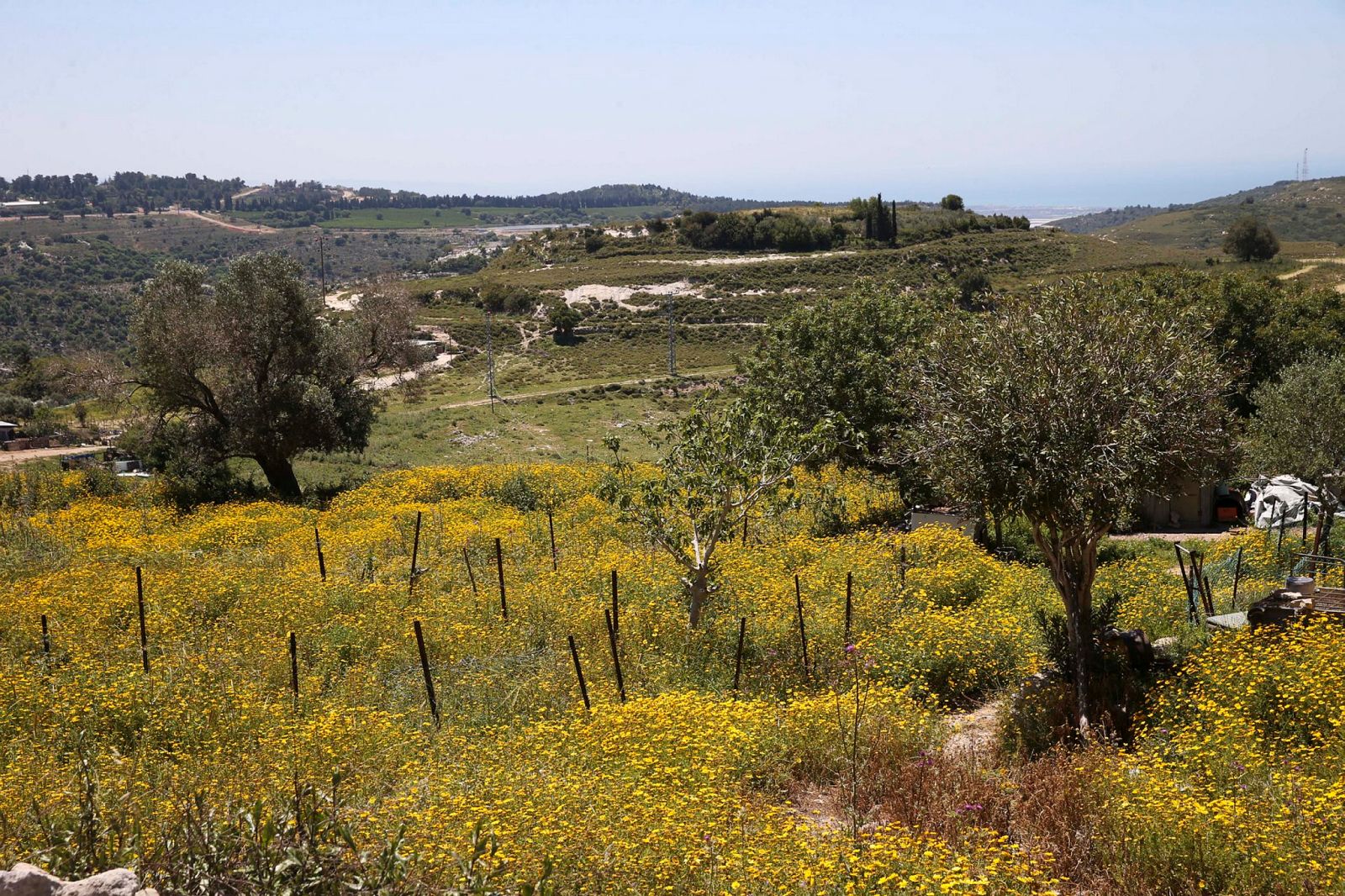 Arab al-Aramshe, a Bedouin town near Israel’s Lebanese border. Photo by Flash90