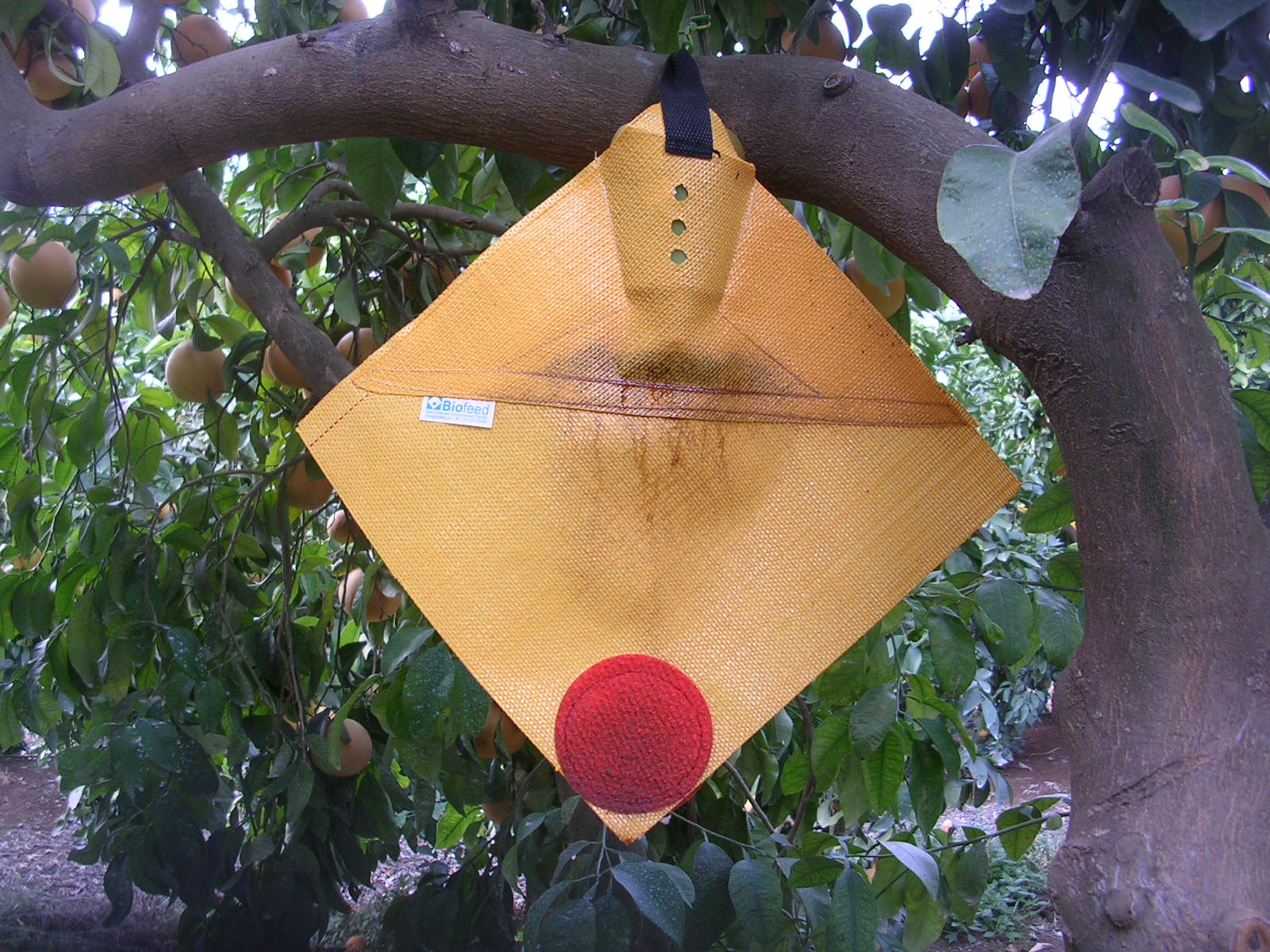 Biofeed’s Slow Fluid Release (SFR) decoy draws in insects through smell. Photo: courtesy