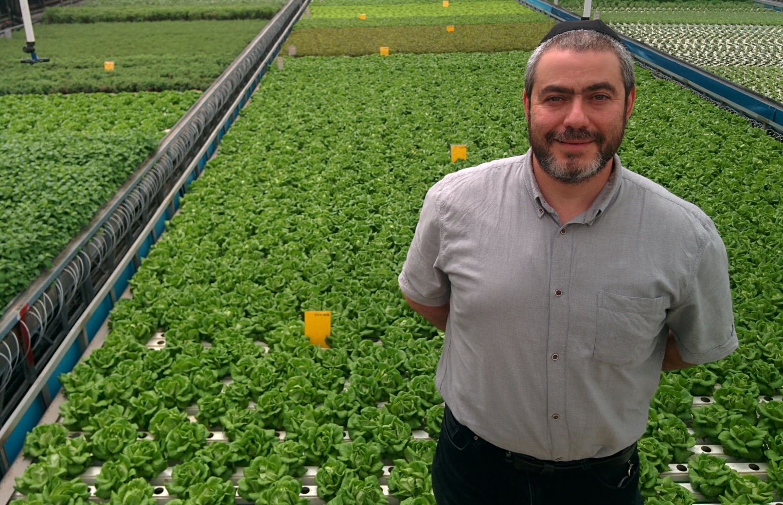 Bentsion Kabakov in his Aleinu Sustainable Aeroponic Greenhouse. Photo by Abigail Klein Leichman
