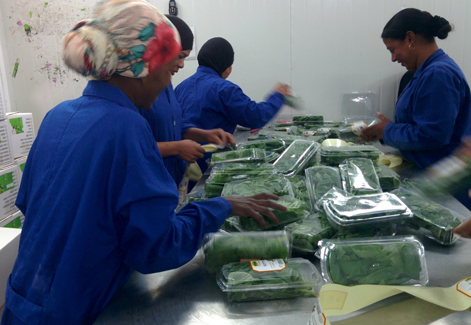 Aleinu provides good working conditions for unskilled women and minorities. Photo by Abigail Klein Leichman