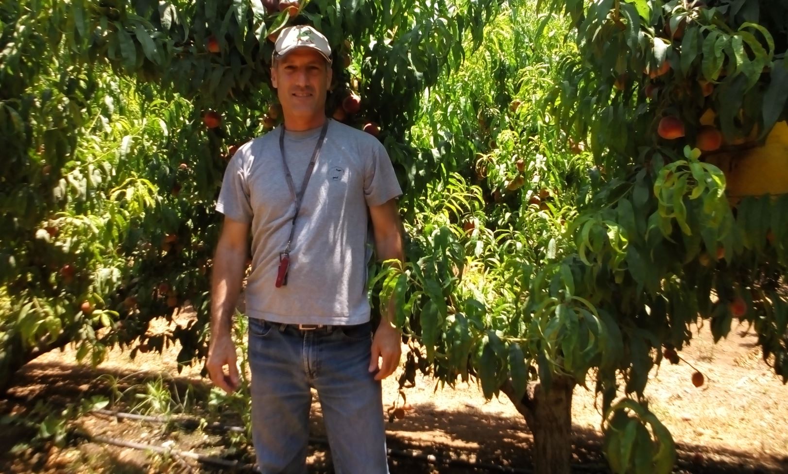 Biofeed CEO Nimrod Israely in the orchard. Photo: courtesy