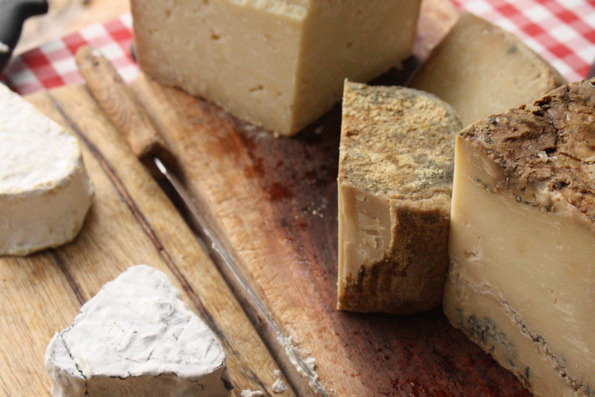 A variety of goat cheeses made at Kibbutz Tzuba near Jerusalem. Photo by Kayleigh Rappaport/FLASH90