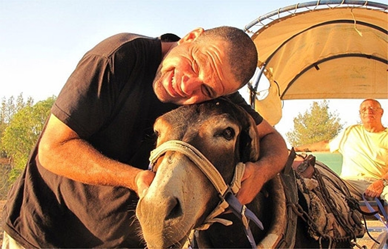 Donkey carts at Philip Carriage Farm. Photo via i-travelisrael.com