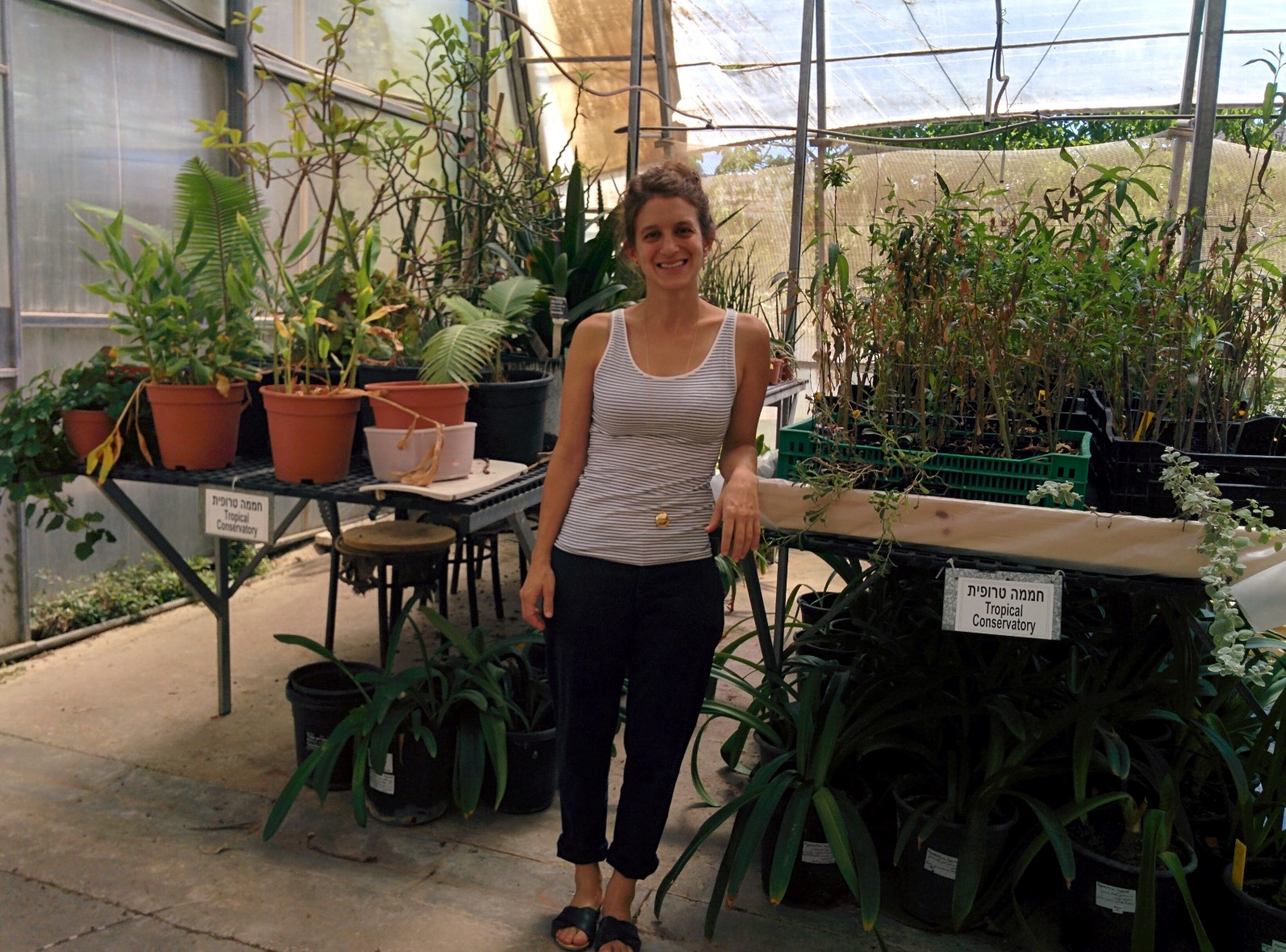 Lior Gottesman, cofounder of the Social and Environmental Hub of the Jerusalem Botanical Gardens, in the tropical conservatory. Photo by Abigail Klein Leichman