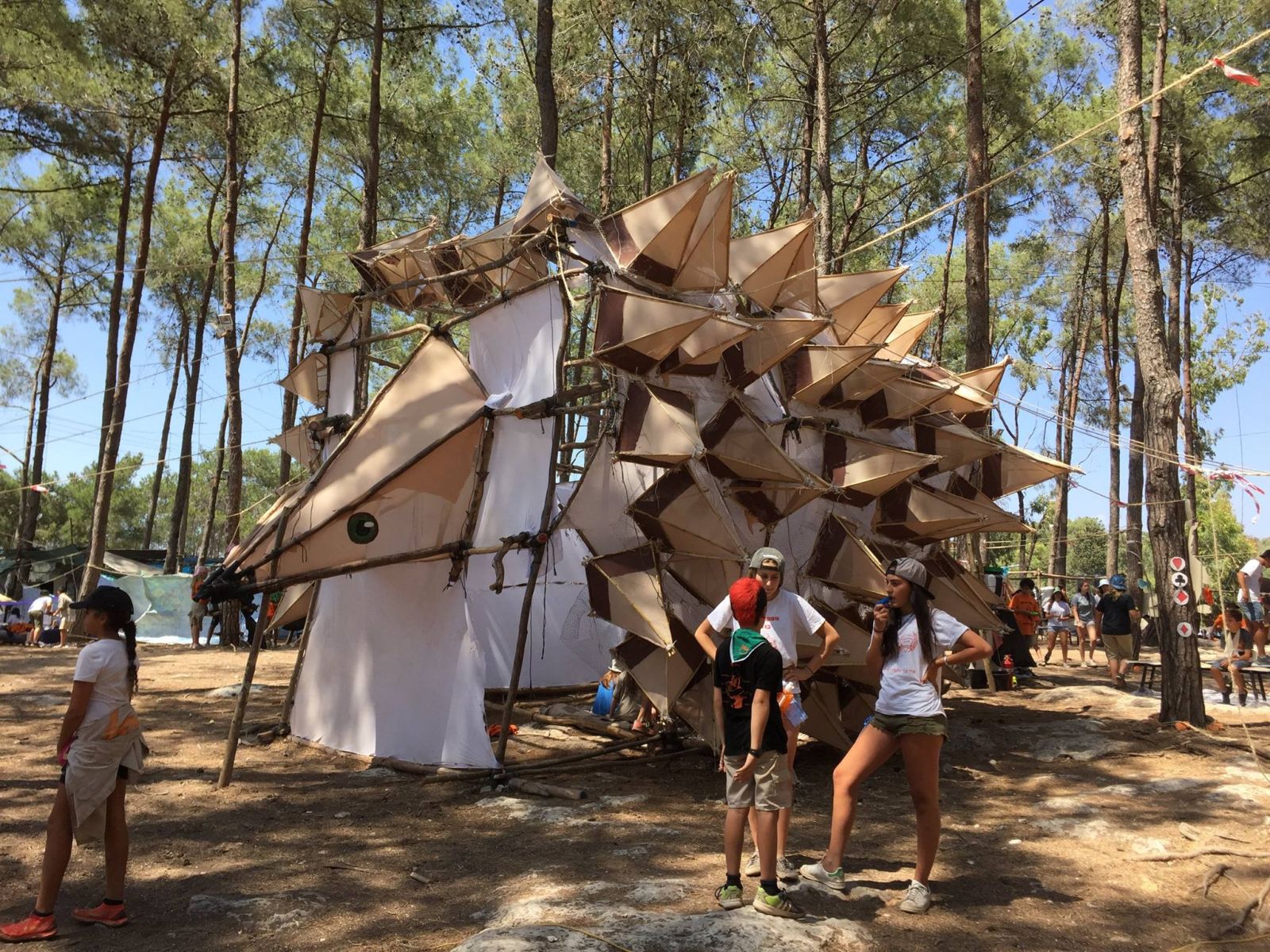 Porcupine by Tzofim Scouts. Photo: courtesy