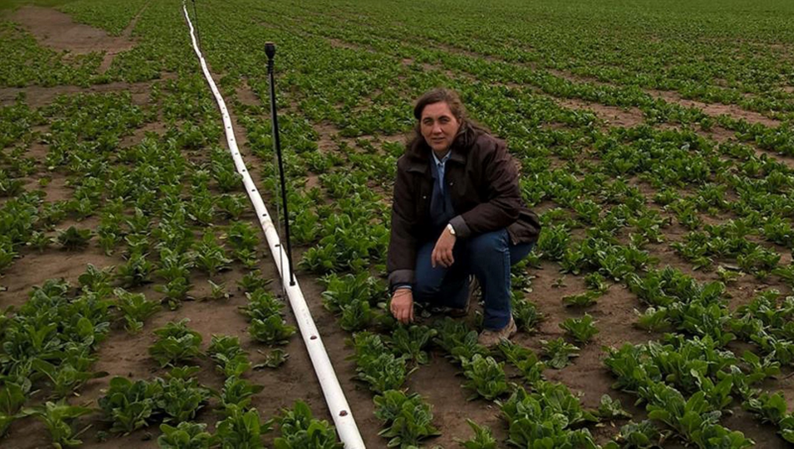 Agricultural Extension Officer Cristina Mondino, a graduate of a MASHAV-MATC course, is sharing with her colleagues in Argentina the horticulture knowledge she acquired in Israel. Photo: courtesy Agricultural Extension Officer Cristina Mondino, a graduate of a MASHAV-MATC course, is sharing with her colleagues in Argentina the horticulture knowledge she acquired in Israel. Photo: courtesy