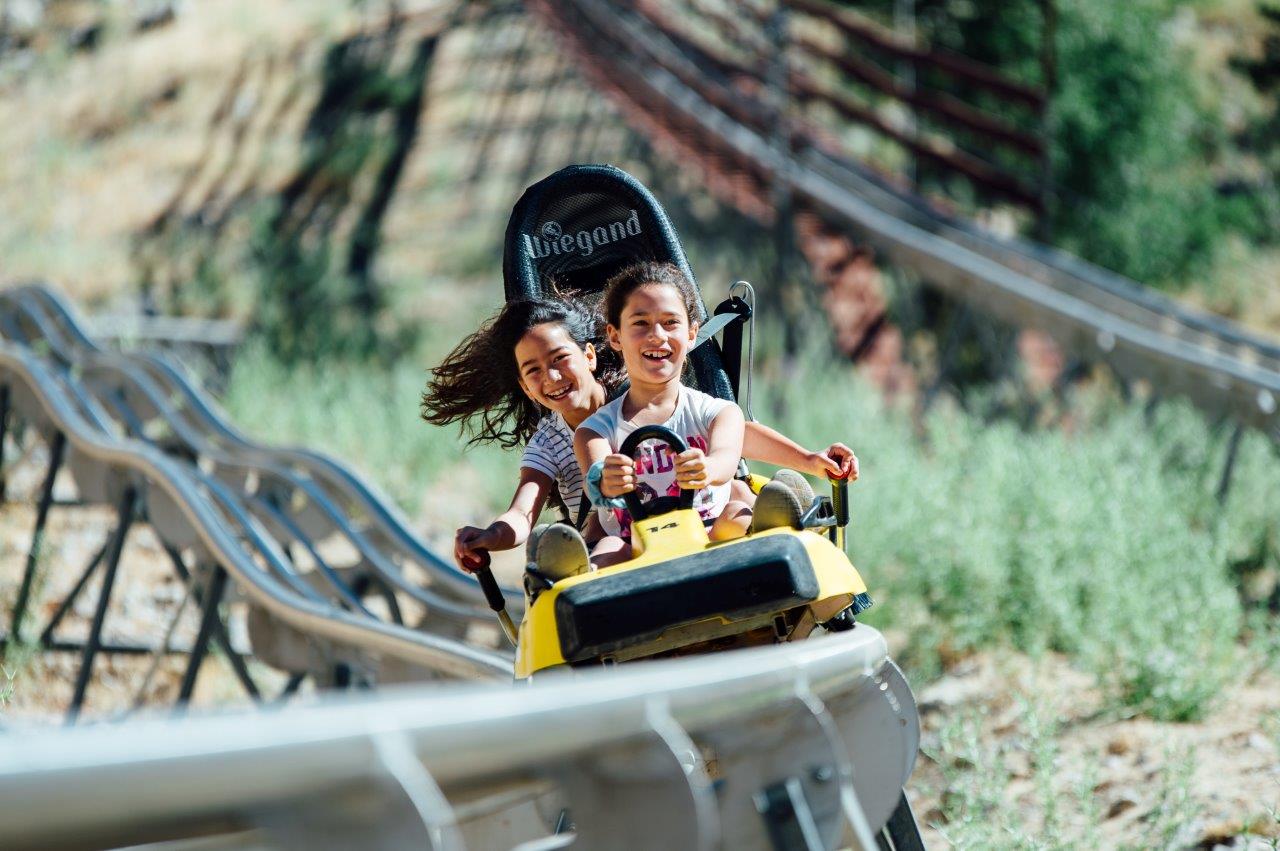 Think bobsled on a track. Photo by Adi Peretz Think bobsled on a track. Photo by Adi Peretz