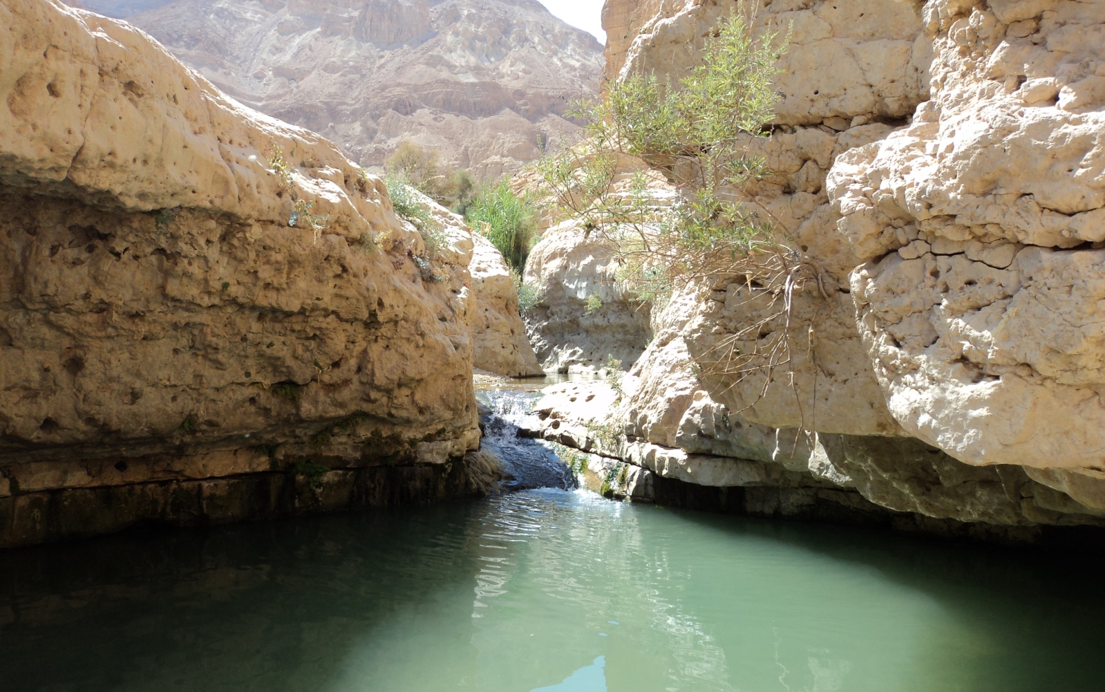 Nahal Arugot is open to bathers. Photo via PikiWiki Israel