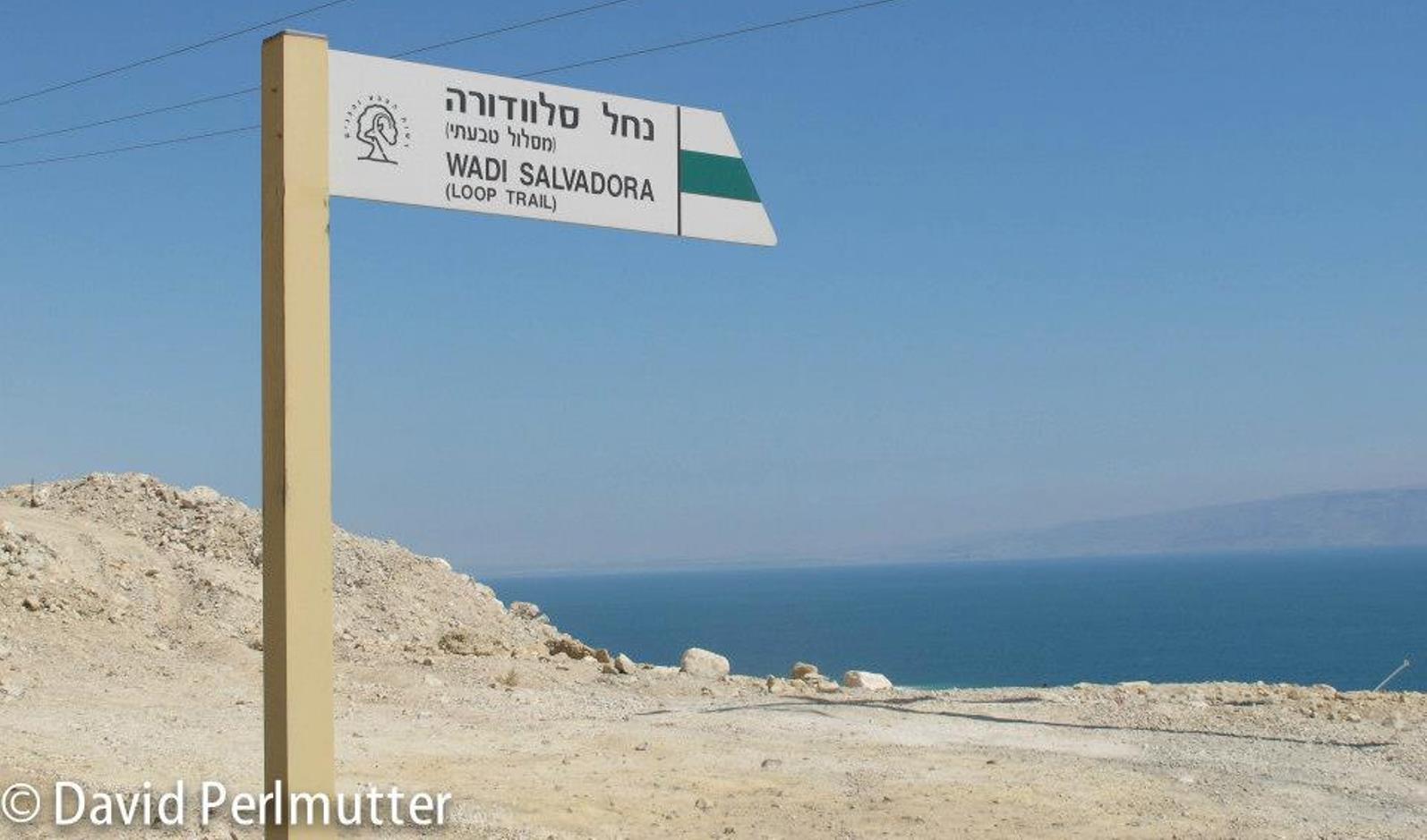 Photo by David Perlmutter/IsraelAdventure.com