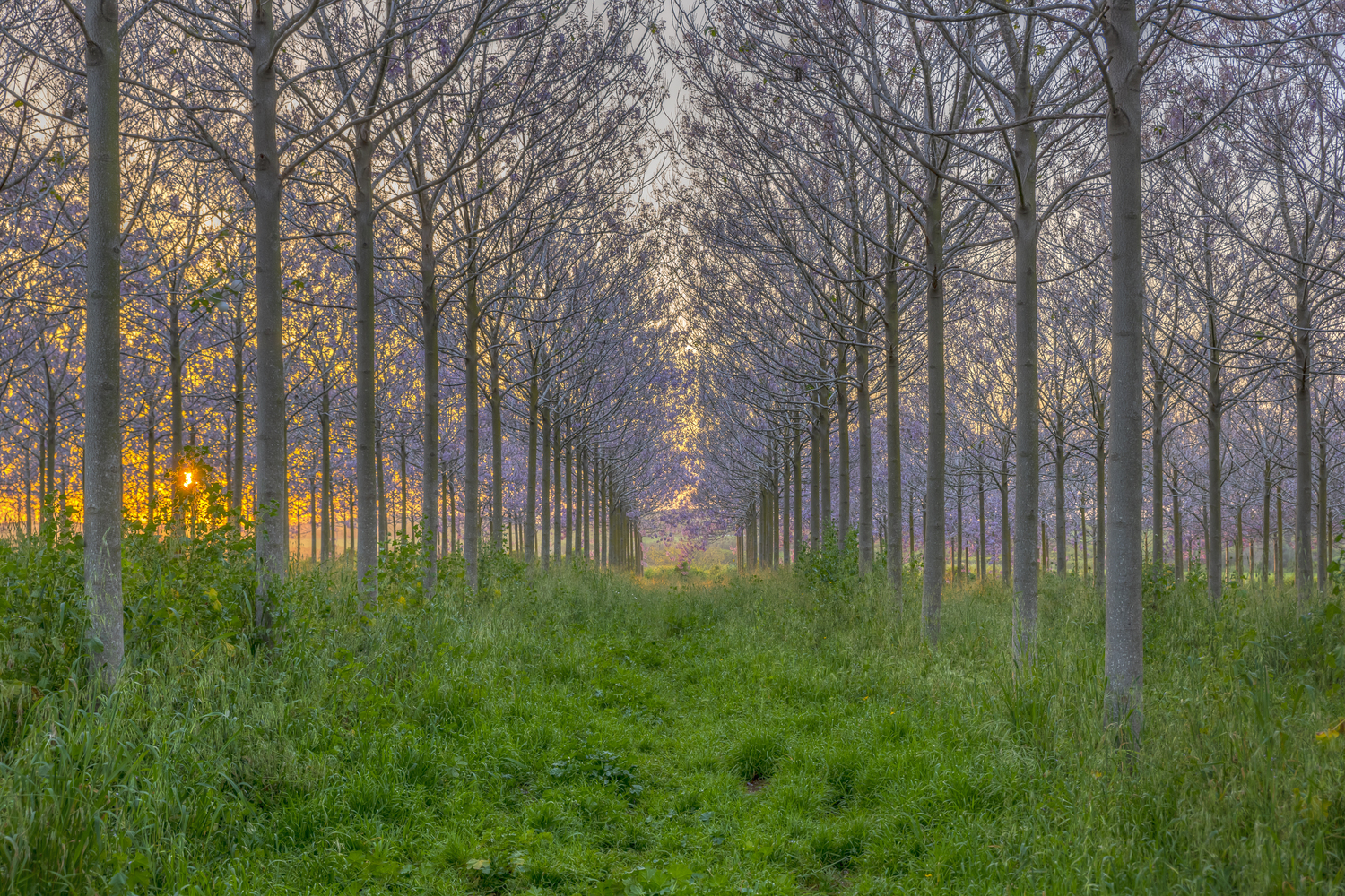 "Beit Hanan" by Josef Anah