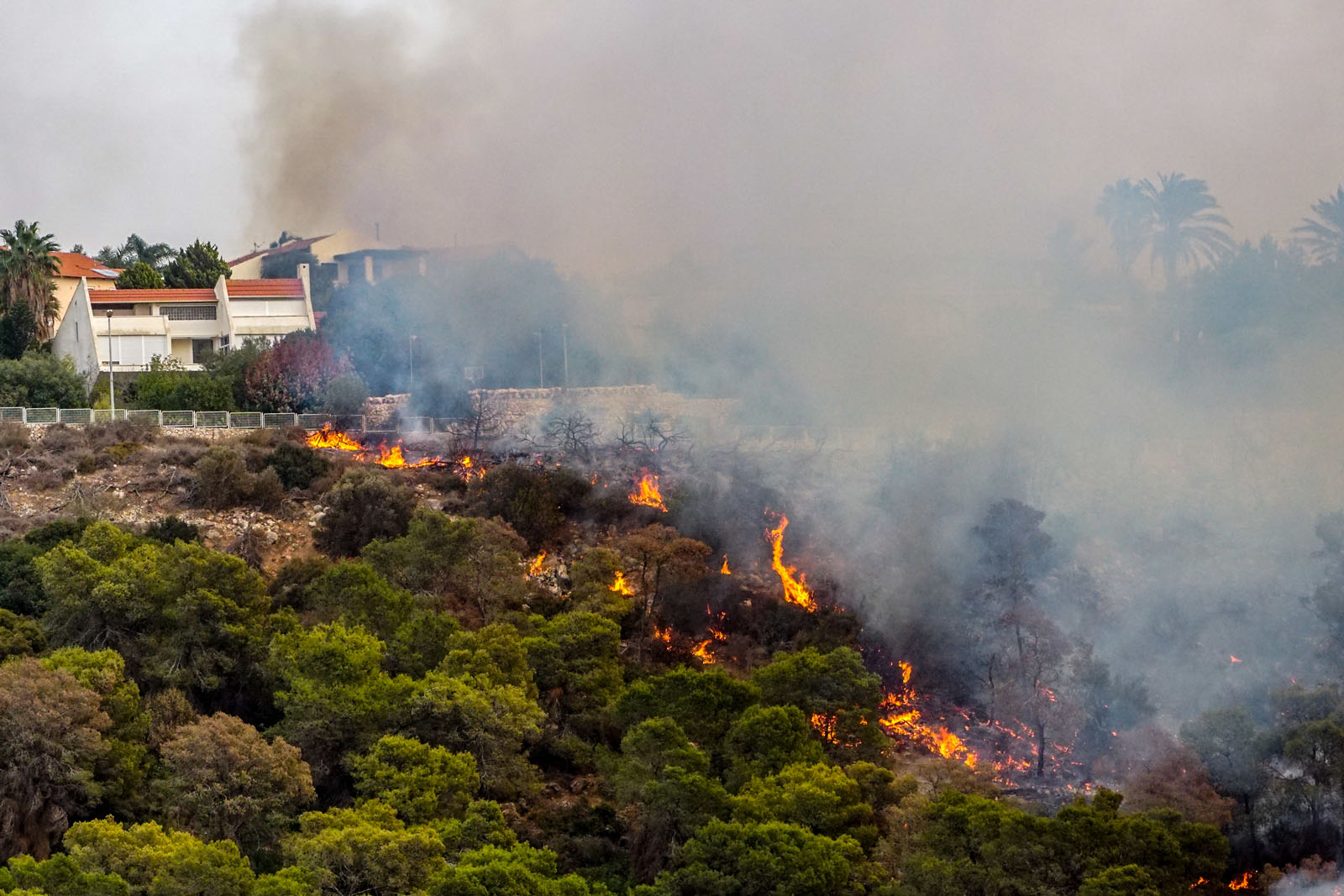 A forest fire near ZIchron Yaakov on November 22, 2016. Photo by Meir Vaaknin /Flash90
