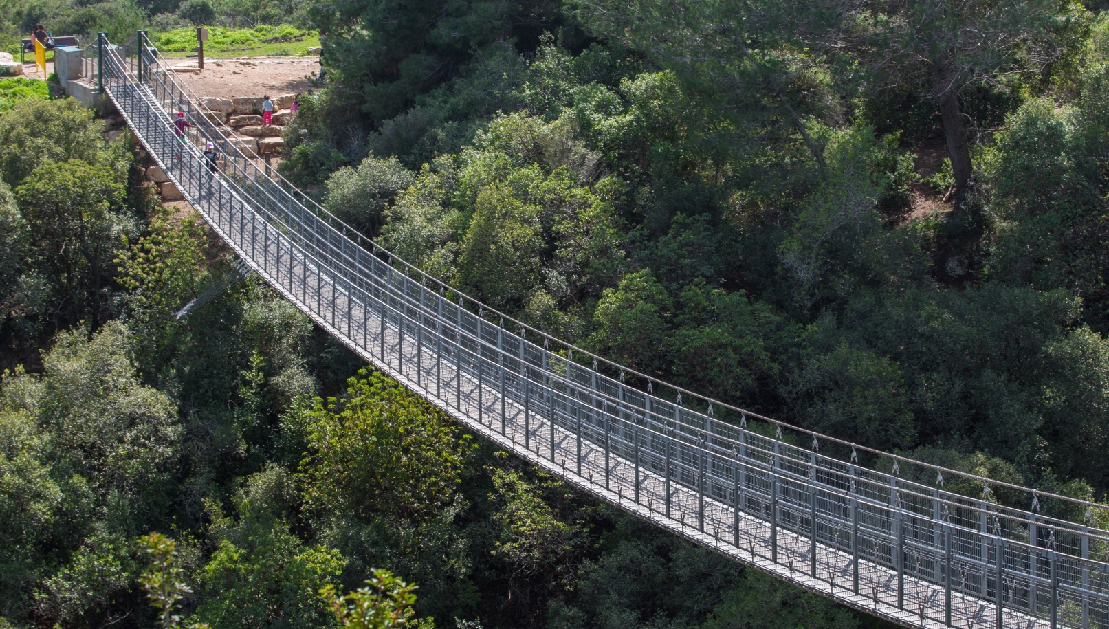 Suspension bridge in Nesher Park, just outside Haifa. Image by Roni Ben Ishay via Shutterstock.com