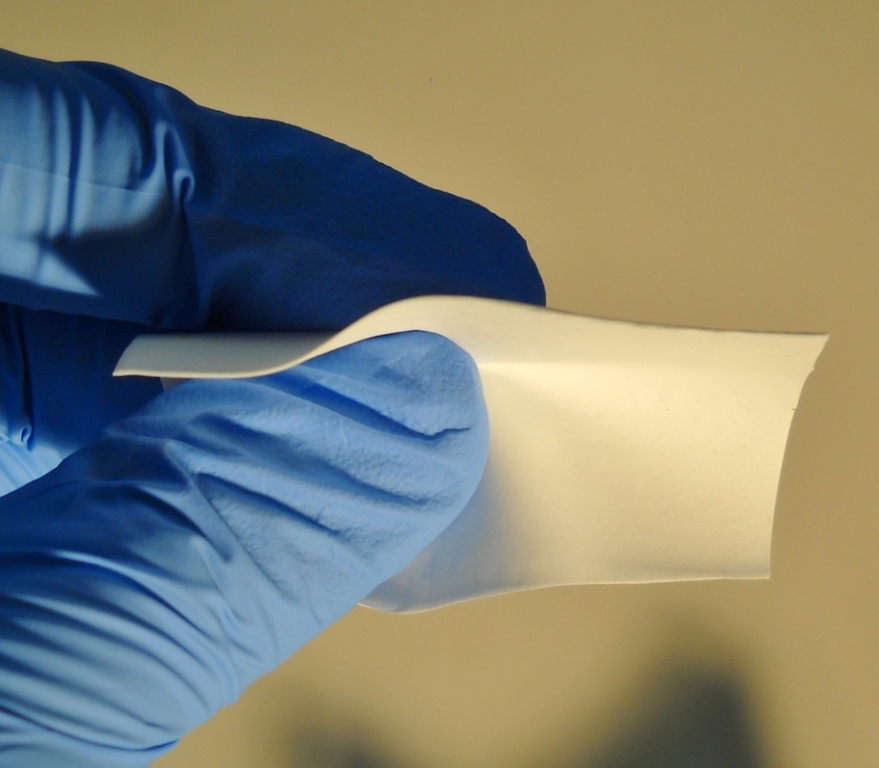 Nurami Medical is developing an innovative technology platform for soft tissue replacement and repair. Photo courtesy