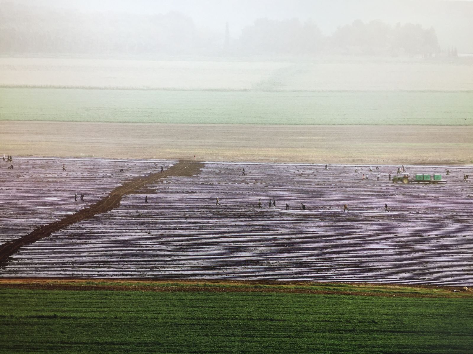 The Beit She’an Valley. Photo by Neil Folberg for “The Desert and the Cities Sing”
