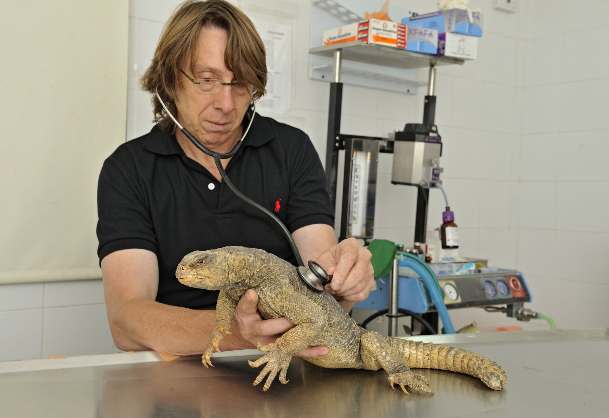 Dr. Yigal Horowitz with a resident of the Ramat Gan Safari. Photo courtesy Zoological Center Tel Aviv-Ramat Gan Safari