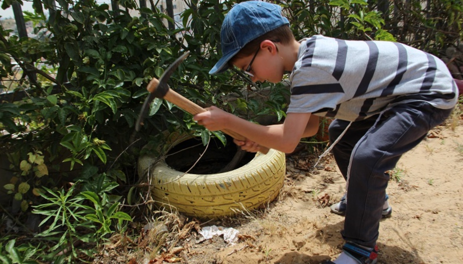 Preparing the ground for planting. Photo courtesy of Leshomra