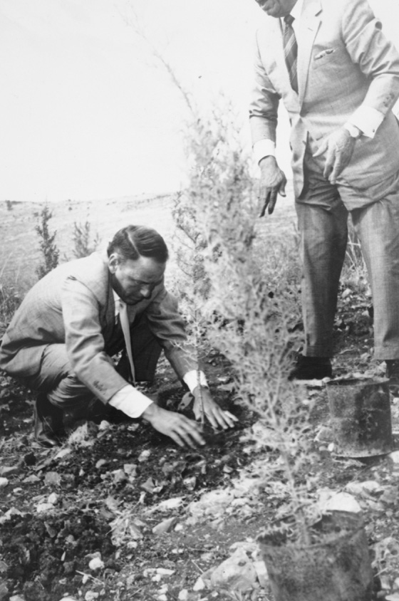 Frank Sinatra plants a tree in the hills of Jerusalem in 1962. Photo courtesy of KKL-JNF Archive