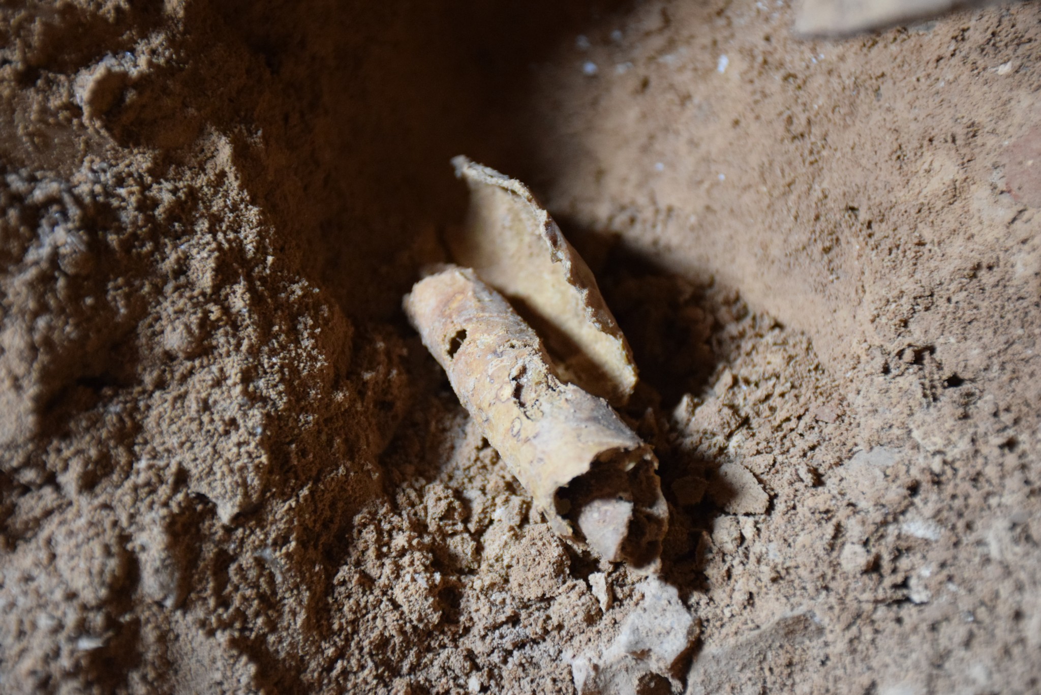 Remnant of scroll when removed from jar in Cave 12. Photo by Casey L. Olson and Oren Gutfeld Remnant of scroll when removed from jar in Cave 12. Photo by Casey L. Olson and Oren Gutfeld