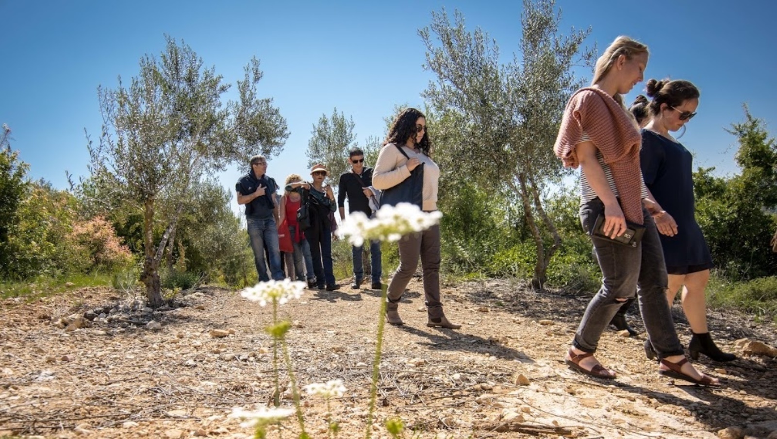 Nature walks at Kibbutz Tzuba. Photo: courtesy