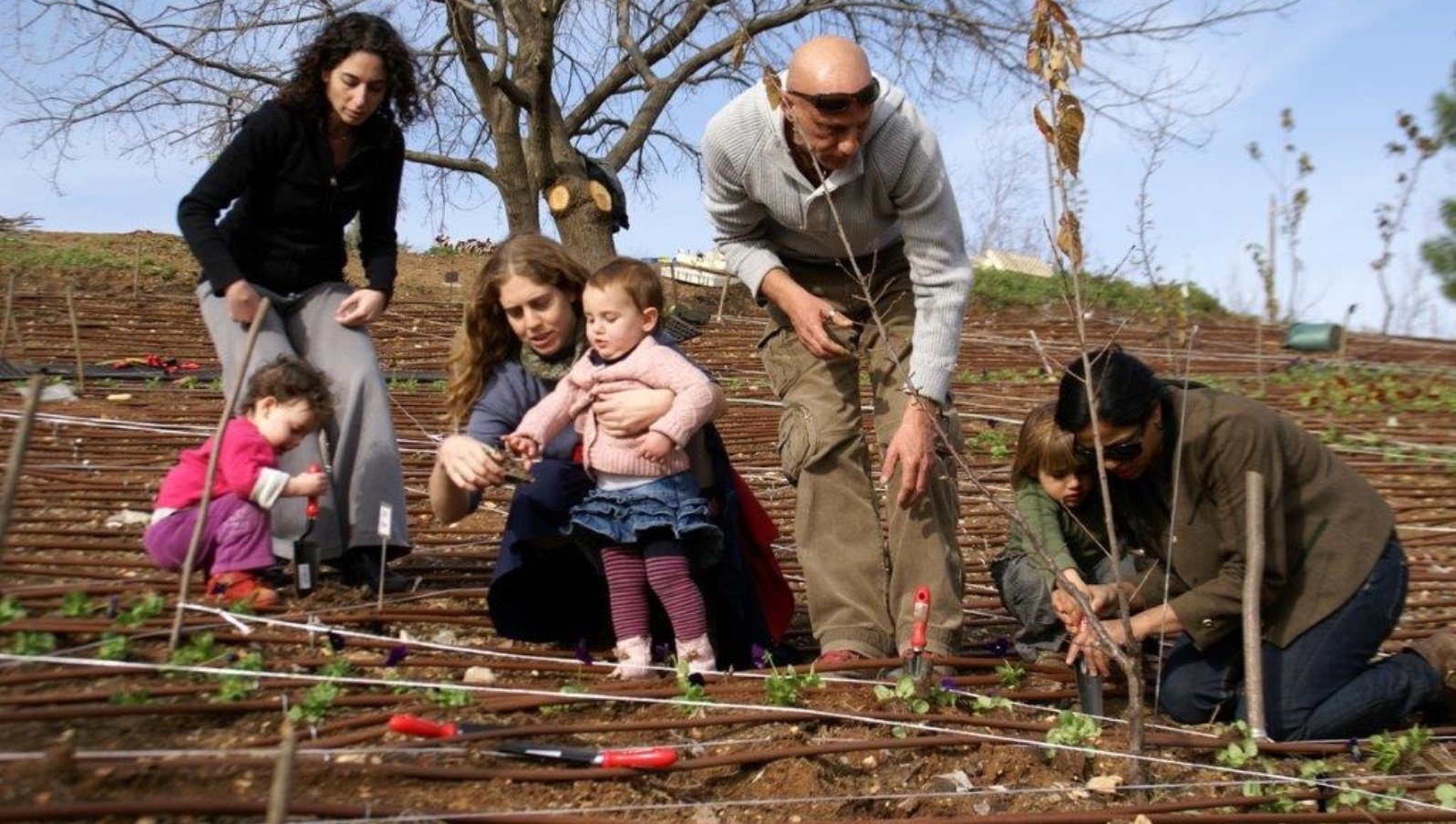 Plant flowers at the Jerusalem Botanical Gardens on Tu B’Shvat. Photo: courtesy