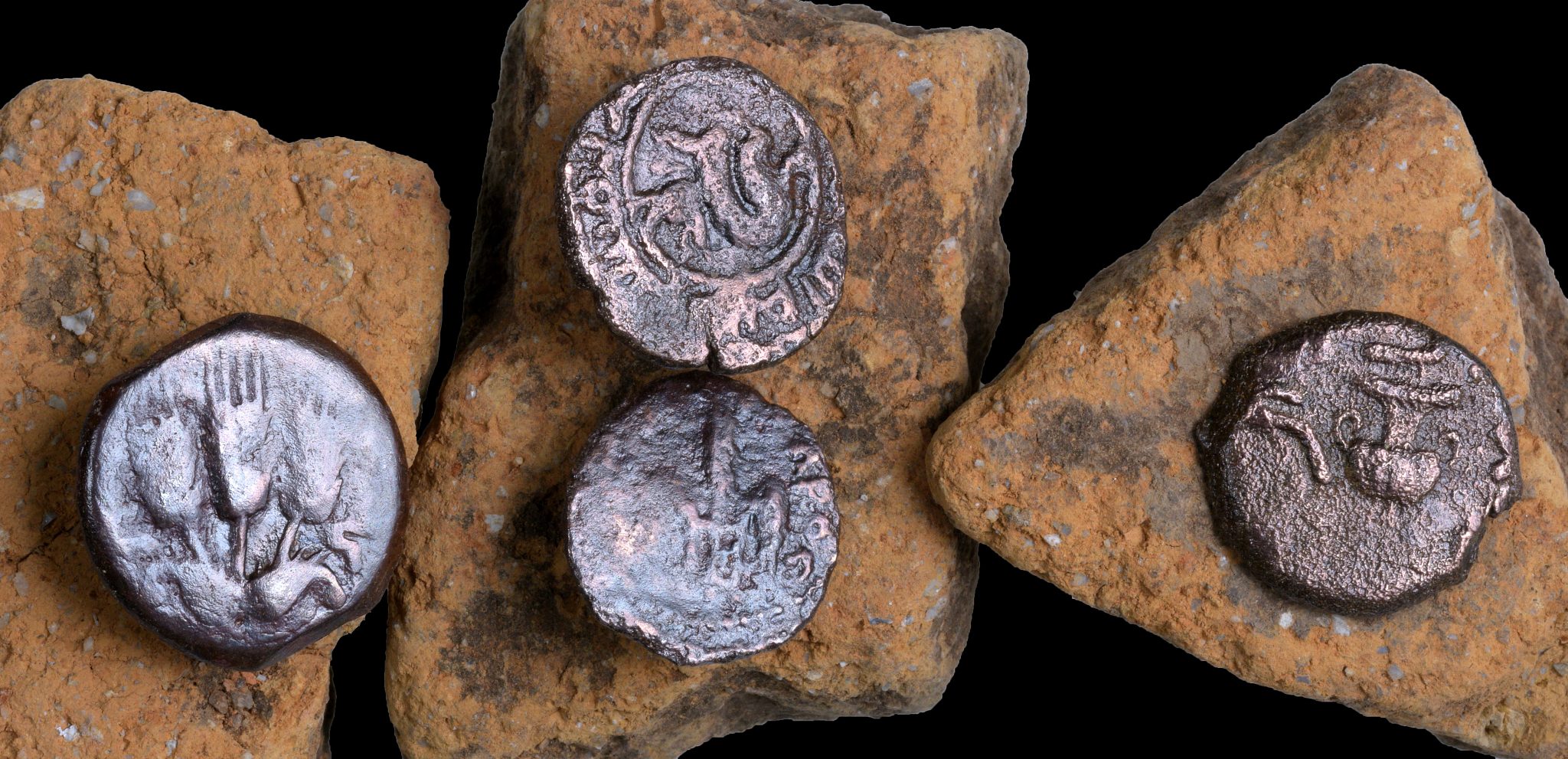 Ancient coins discovered in the excavation. Photograph by Clara Amit/Israel Antiquities Authority.