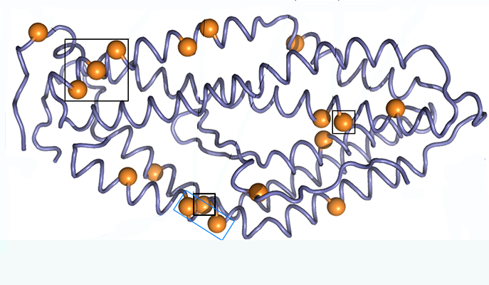 Mutations introduced into the structure of the RH5 protein enhance its stability at warm temperatures. Photo courtesy