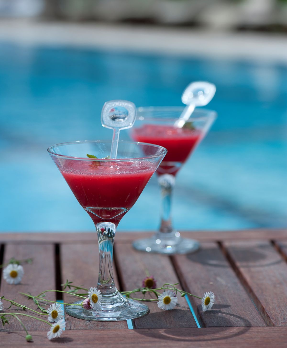 Photo of Carmel Forest Spa Resort’s cold watermelon soup by Oded Marom for Isrotel.