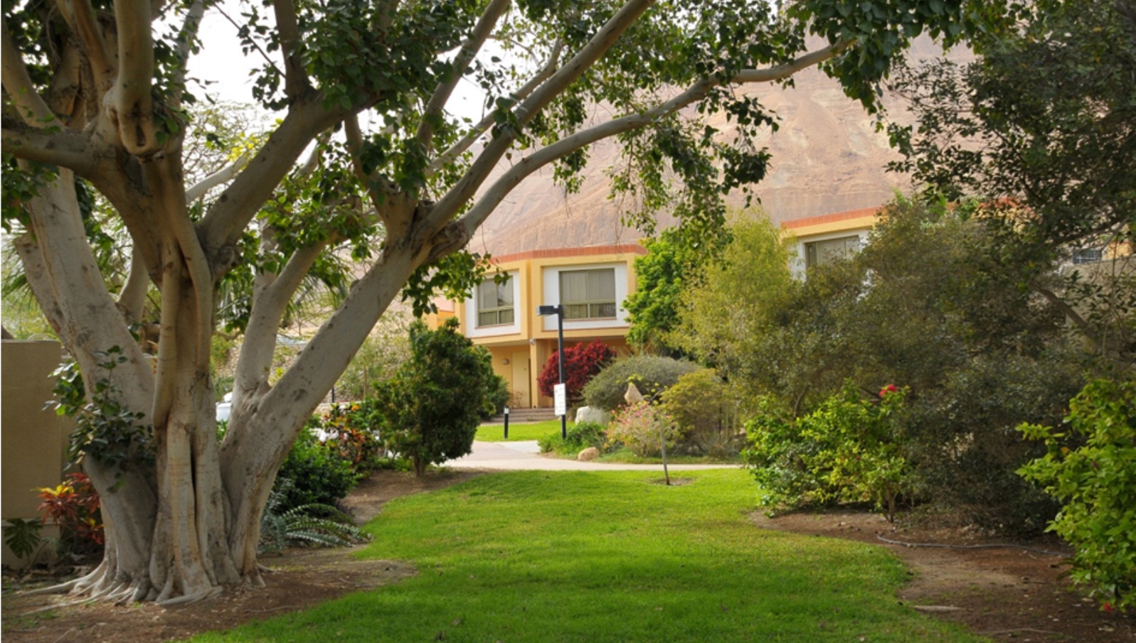 The grounds of Kibbutz Ein Gedi. Photo: courtesy