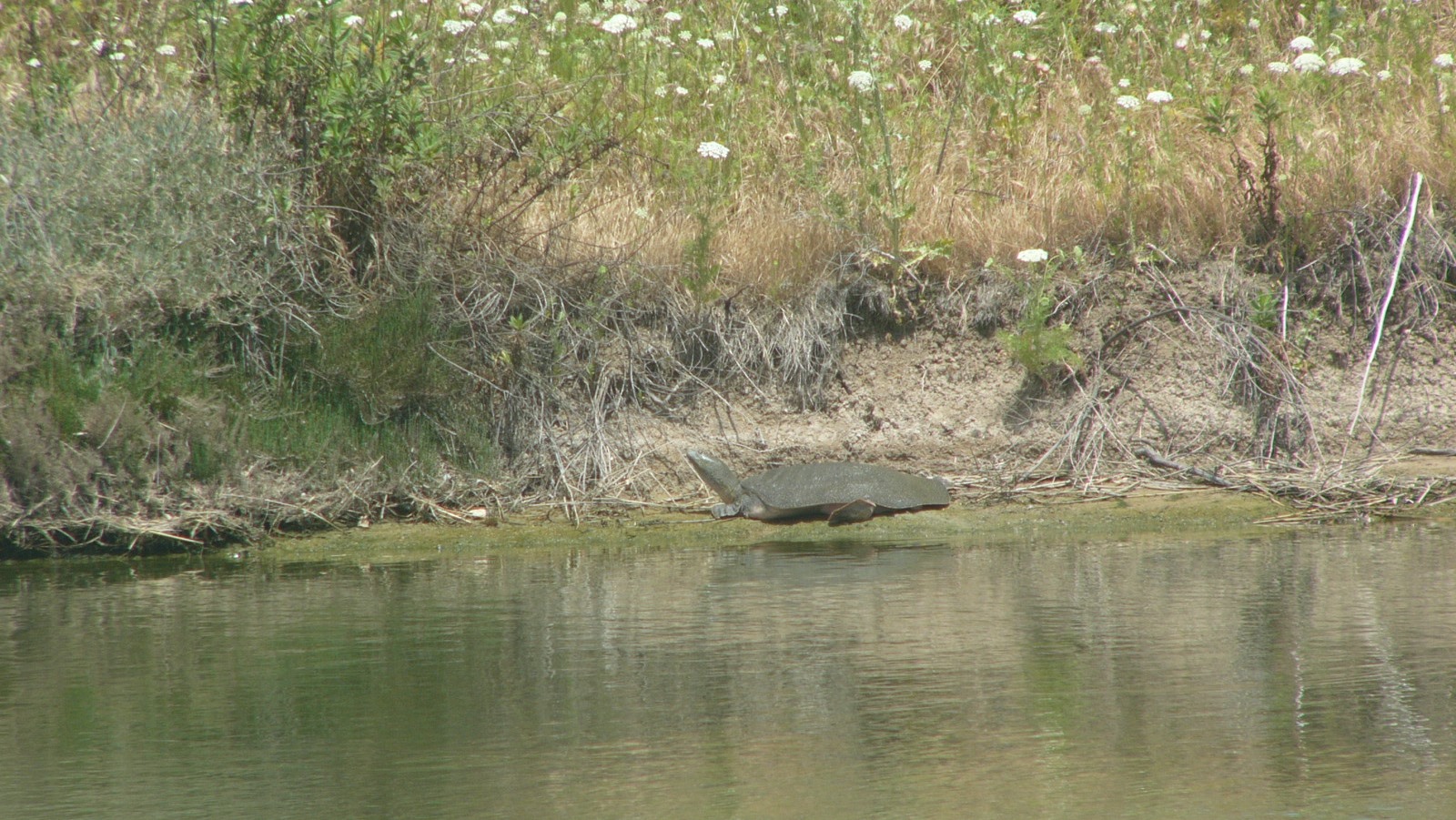 Photo by Alon Ben-Meir/Kishon River Authority