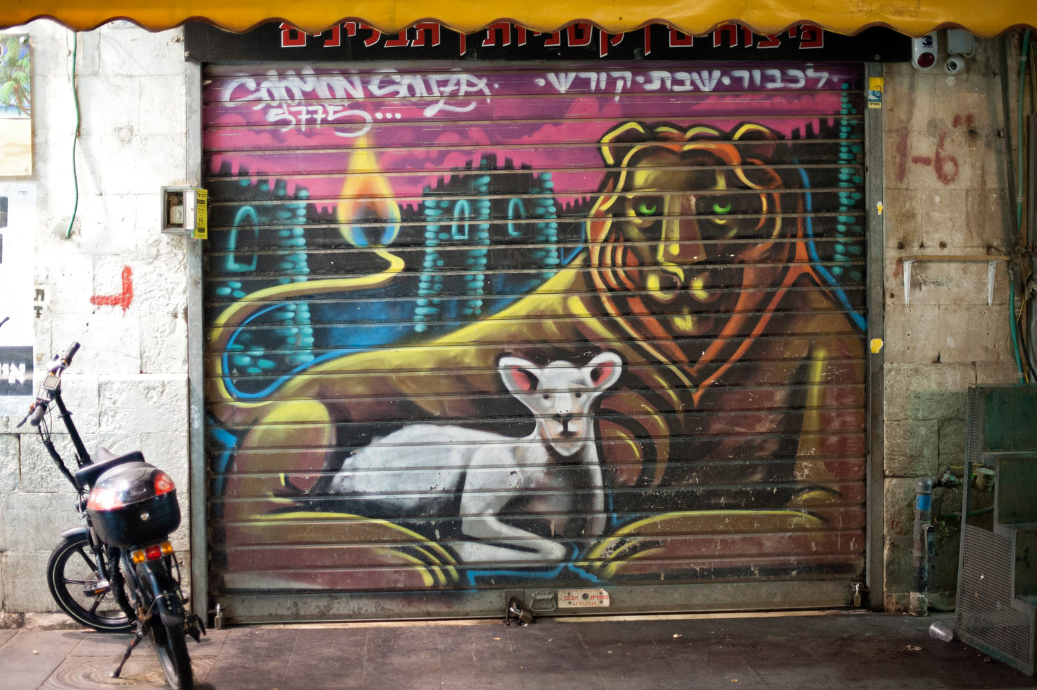 Solomon Souza street art featuring a lion, in Jerusalem’s Machane Yehuda market. Photo by Yehoshua Halevi